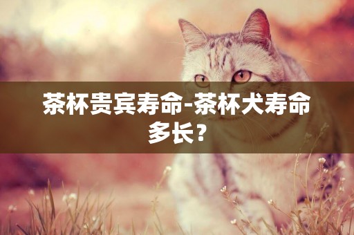 茶杯貴賓壽命-茶杯犬壽命多長？