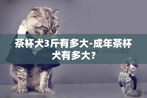 茶杯犬3斤有多大-成年茶杯犬有多大？