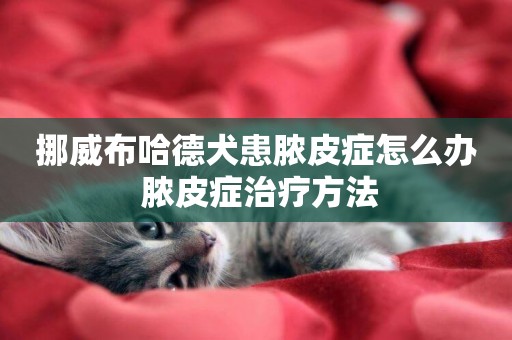 挪威布哈德犬患膿皮癥怎么辦 膿皮癥治療方法