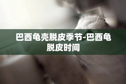 巴西龜殼脫皮季節-巴西龜脫皮時間