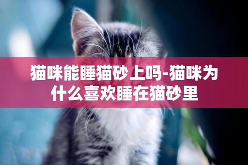 貓咪能睡貓砂上嗎-貓咪為什么喜歡睡在貓砂里