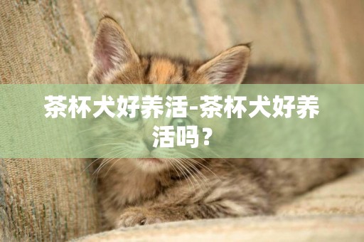 茶杯犬好養活-茶杯犬好養活嗎？