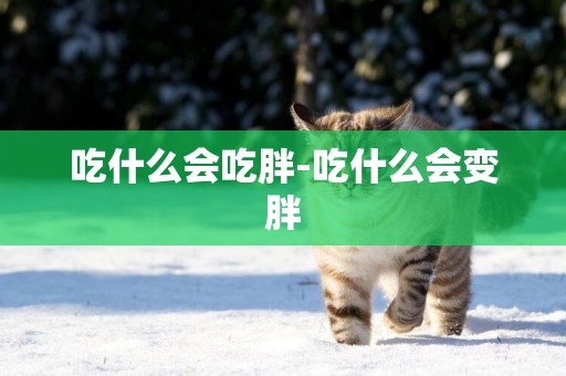 吃什么會吃胖-吃什么會變胖