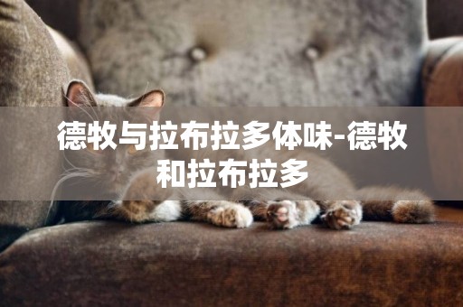 德牧與拉布拉多體味-德牧和拉布拉多