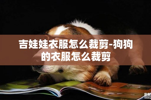 吉娃娃衣服怎么裁剪-狗狗的衣服怎么裁剪 吉娃娃衣服怎么裁剪-狗狗的衣服怎么裁剪