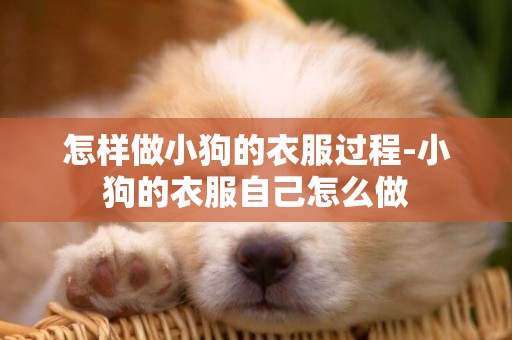 怎樣做小狗的衣服過程-小狗的衣服自己怎么做