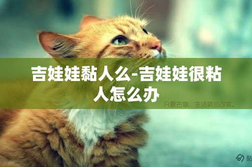 吉娃娃黏人么-吉娃娃很粘人怎么辦 吉娃娃黏人么-吉娃娃很粘人怎么辦