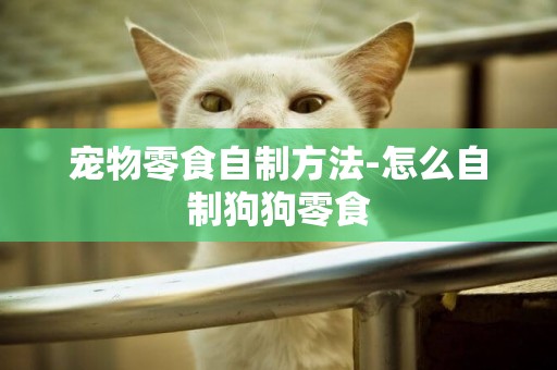 寵物零食自制方法-怎么自制狗狗零食