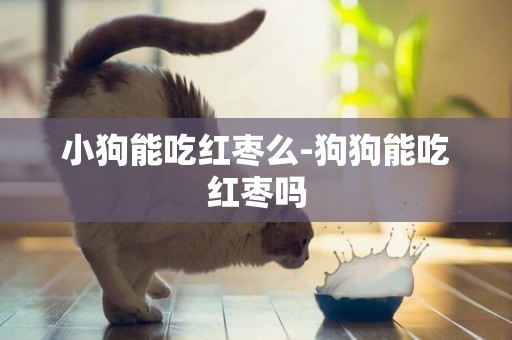 小狗能吃紅棗么-狗狗能吃紅棗嗎