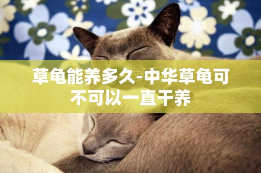 草龜能養多久-中華草龜可不可以一直干養