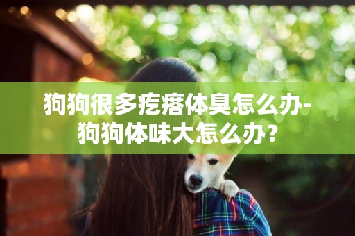 狗狗很多疙瘩體臭怎么辦-狗狗體味大怎么辦？