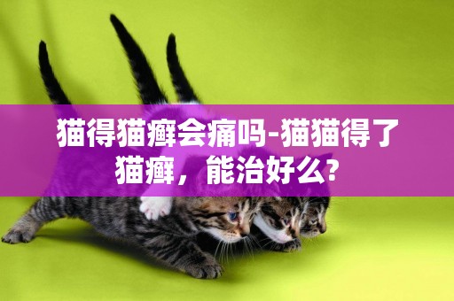 貓得貓癬會痛嗎-貓貓得了貓癬，能治好么?
