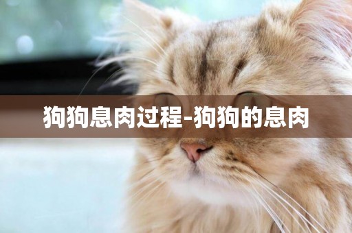 狗狗息肉過程-狗狗的息肉