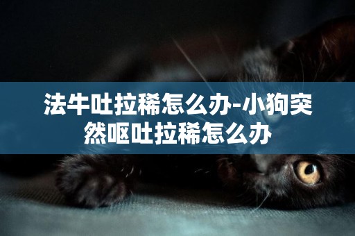 法牛吐拉稀怎么辦-小狗突然嘔吐拉稀怎么辦
