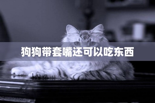 狗狗帶套嘴還可以吃東西