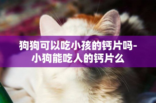 狗狗可以吃小孩的鈣片嗎-小狗能吃人的鈣片么