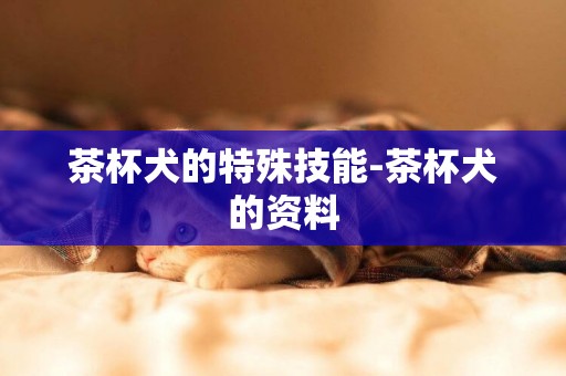 茶杯犬的特殊技能-茶杯犬的資料