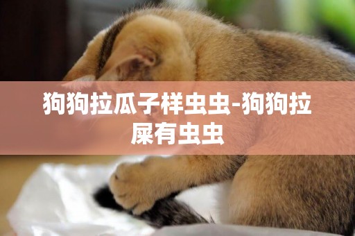 狗狗拉瓜子樣蟲蟲-狗狗拉屎有蟲蟲