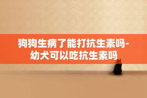 狗狗生病了能打抗生素嗎-幼犬可以吃抗生素嗎