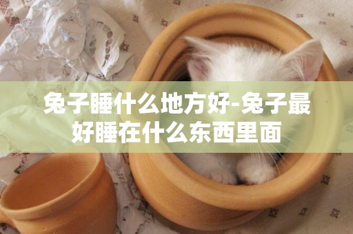 兔子睡什么地方好-兔子最好睡在什么東西里面