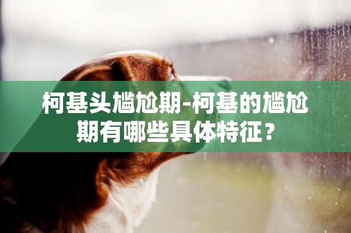 柯基頭尷尬期-柯基的尷尬期有哪些具體特征？