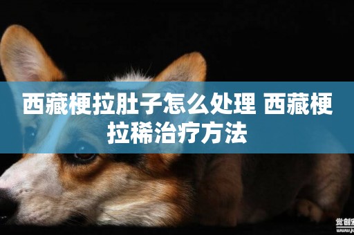 西藏梗拉肚子怎么處理 西藏梗拉稀治療方法