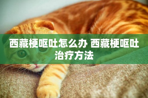 西藏梗嘔吐怎么辦 西藏梗嘔吐治療方法