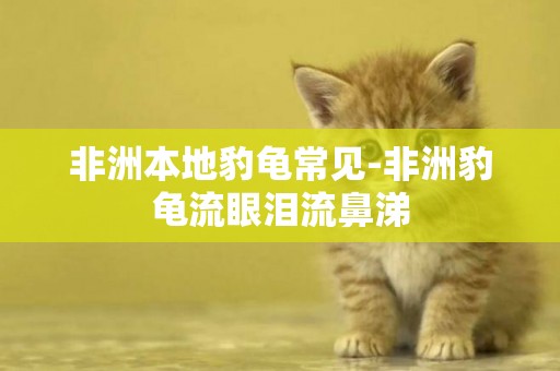 非洲本地豹龜常見-非洲豹龜流眼淚流鼻涕