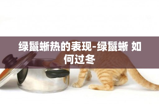 綠鬣蜥熱的表現-綠鬣蜥 如何過冬