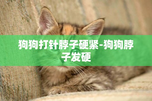 狗狗打針脖子硬緊-狗狗脖子發硬