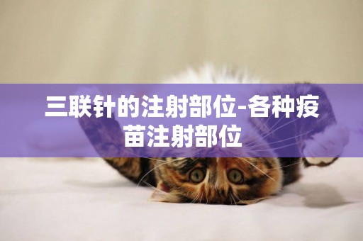 三聯針的注射部位-各種疫苗注射部位