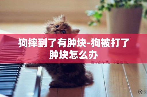 狗摔到了有腫塊-狗被打了腫塊怎么辦