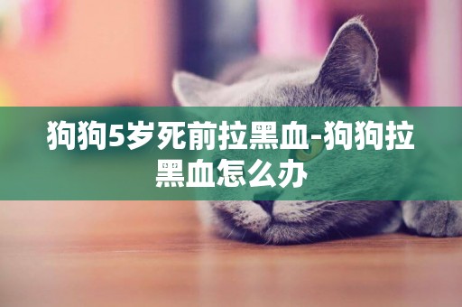 狗狗5歲死前拉黑血-狗狗拉黑血怎么辦
