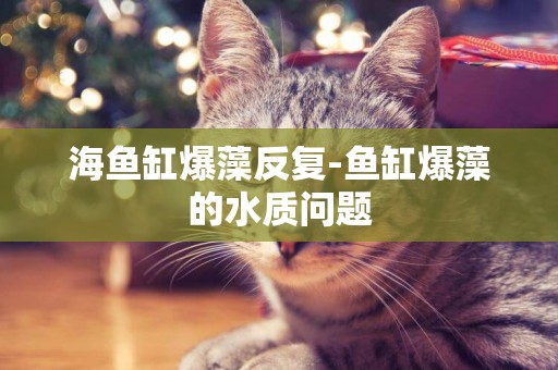 海魚缸爆藻反復-魚缸爆藻的水質問題