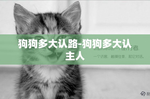 狗狗多大認路-狗狗多大認主人