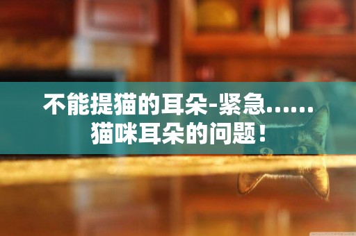不能提貓的耳朵-緊急……貓咪耳朵的問題！