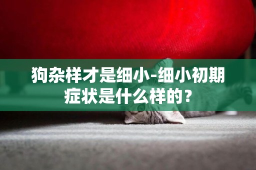 狗雜樣才是細小-細小初期癥狀是什么樣的？