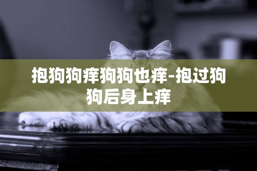 抱狗狗癢狗狗也癢-抱過狗狗后身上癢