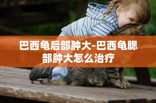 巴西龜后部腫大-巴西龜腮部腫大怎么治療