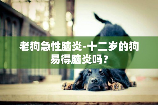 老狗急性腦炎-十二歲的狗易得腦炎嗎？