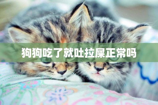 狗狗吃了就吐拉屎正常嗎