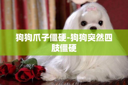 狗狗爪子僵硬-狗狗突然四肢僵硬