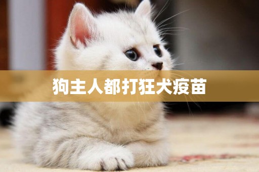 狗主人都打狂犬疫苗
