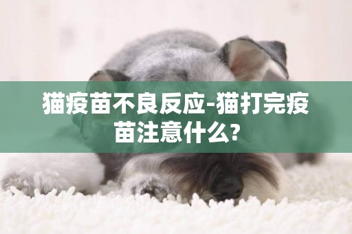貓疫苗不良反應-貓打完疫苗注意什么?