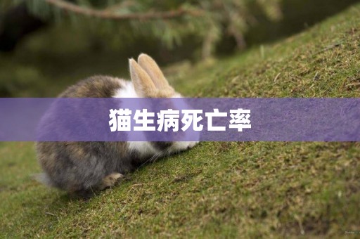 貓生病死亡率