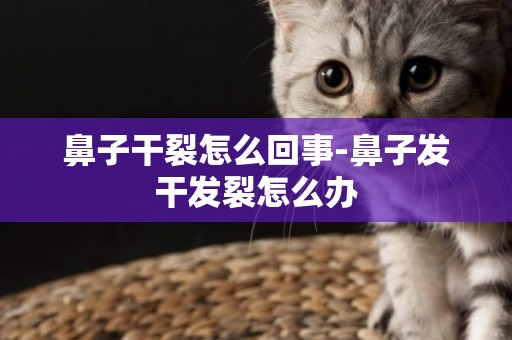 鼻子干裂怎么回事-鼻子發干發裂怎么辦