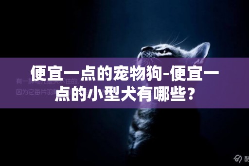 便宜一點的寵物狗-便宜一點的小型犬有哪些？