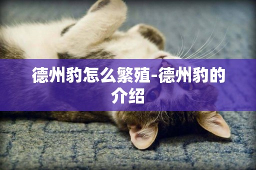 德州豹怎么繁殖-德州豹的介紹