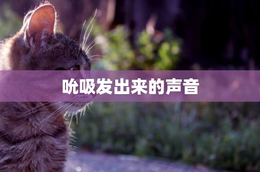 吮吸發出來的聲音