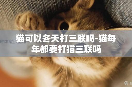 貓可以冬天打三聯嗎-貓每年都要打貓三聯嗎